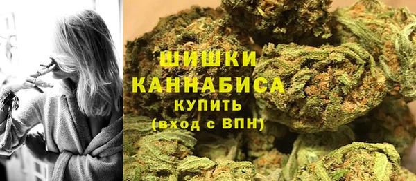 дмт Арсеньев