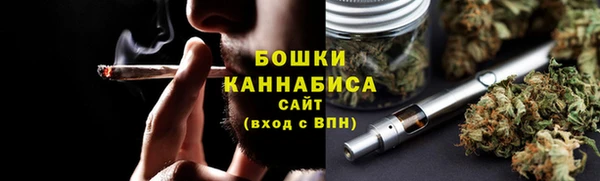 дмт Арсеньев