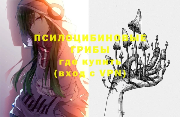 дмт Балахна