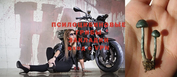 дмт Балахна
