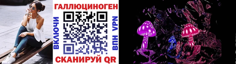 Галлюциногенные грибы Psilocybe  Советский 